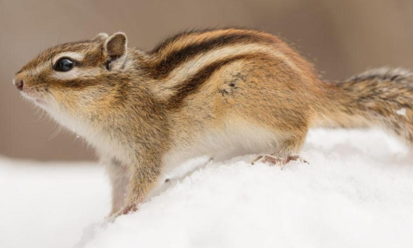 陕西理想艾科广告装饰有限公司轮播图2